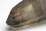 Tessin Habit Smoky Quartz Crystal - Nigeria #207979-2